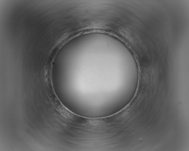 X0000074041258200608211509