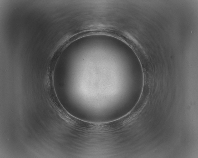 X0000074041259200608211509