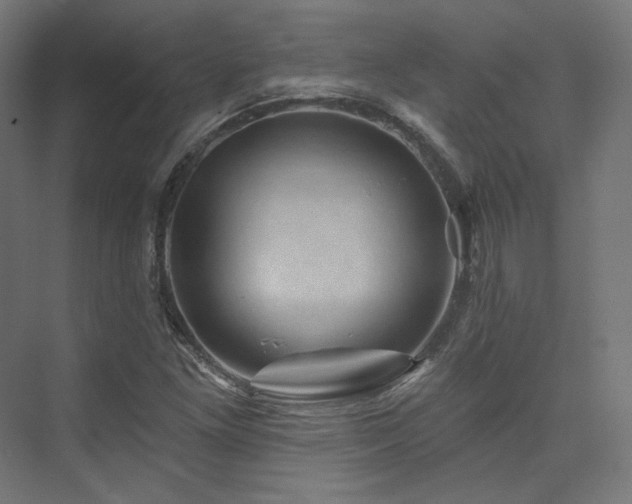 X0000074041261200608211509