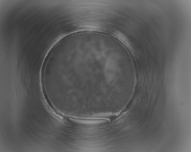 X0000074041283200608211509