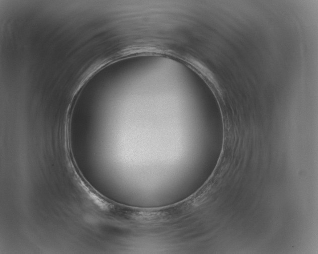 X0000074041290200608211509