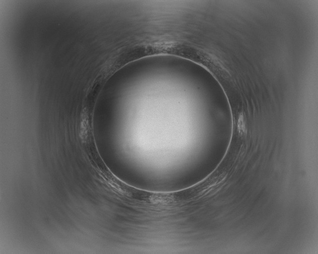 X0000074041299200608211508