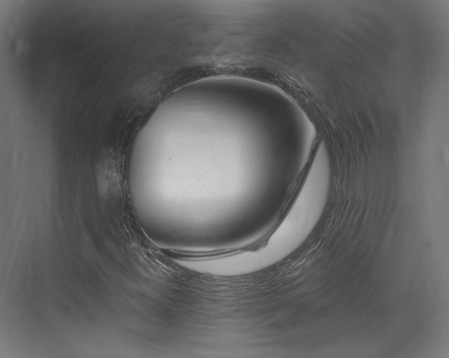 X0000074041300200608211508
