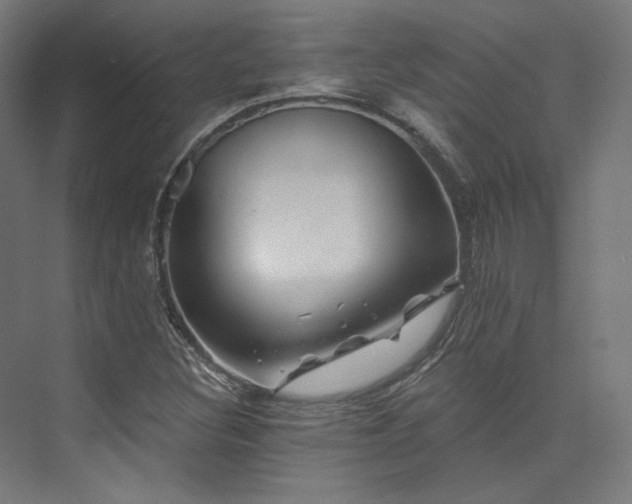 X0000074041308200608211508