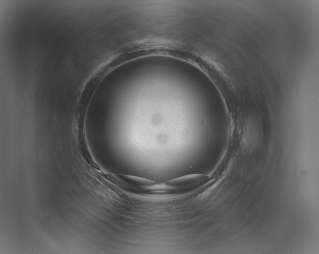 X0000074041309200608211508
