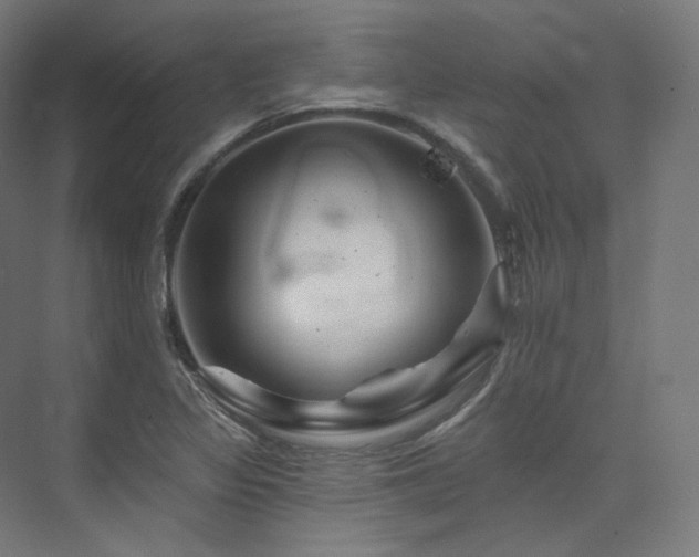 X0000074041317200608211508