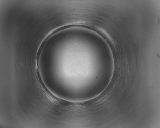 X0000074041324200608211508