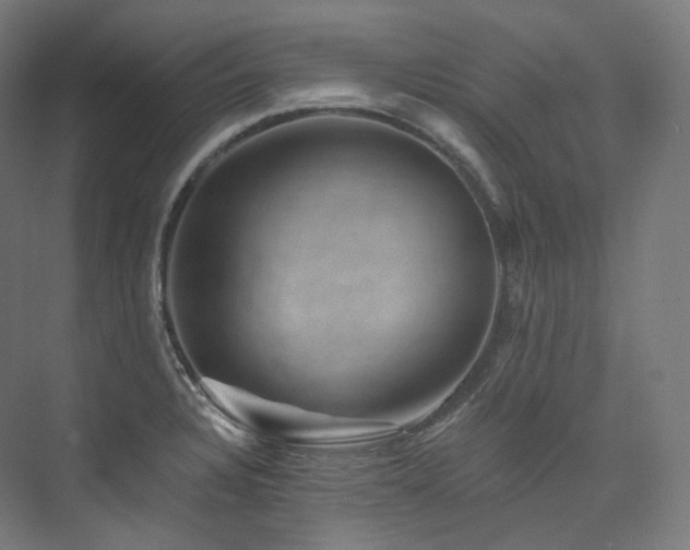 X0000074041328200608211508