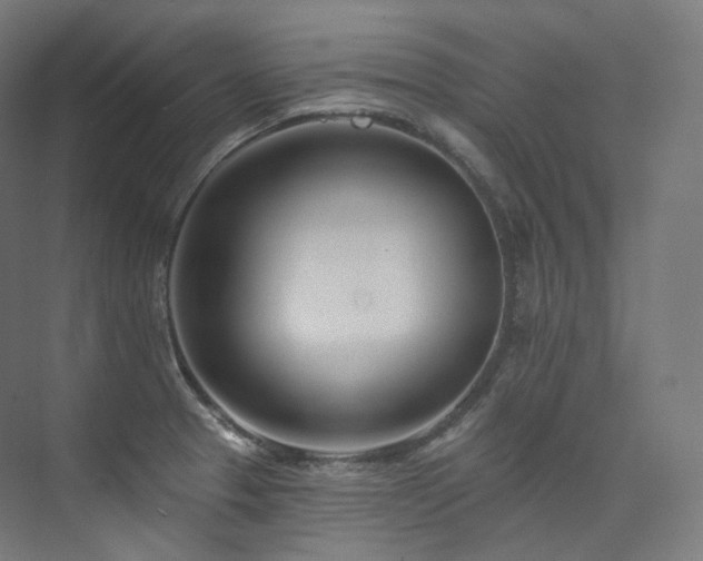 X0000074041329200608211508