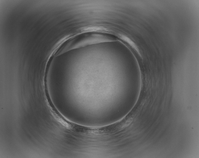 X0000074041330200608211508