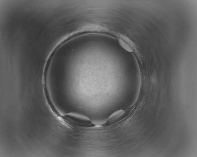 X0000074041335200608211508