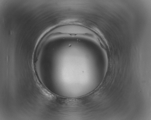 X0000074041336200608211508