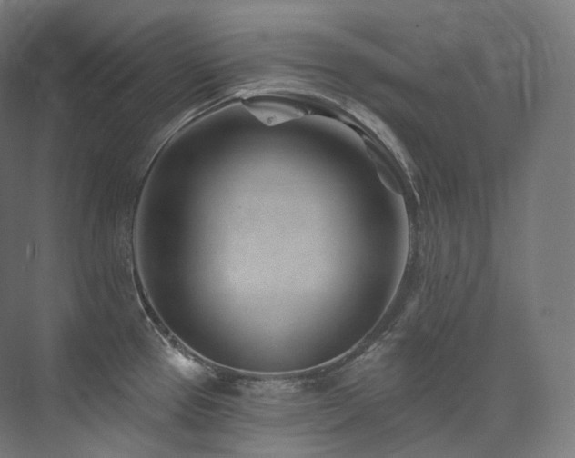 X0000074041337200608211508