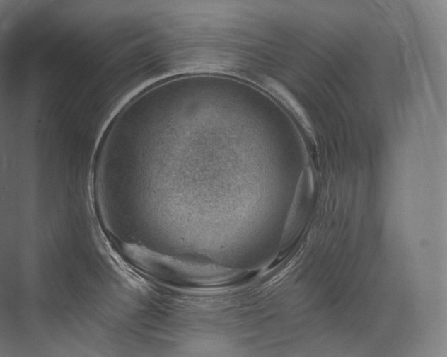 X0000074041340200608211508