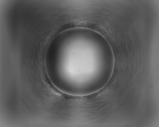 X0000074041345200608211508