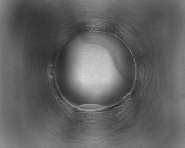 X0000074041346200608211508