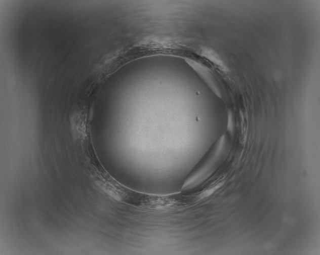 X0000074041348200608211508