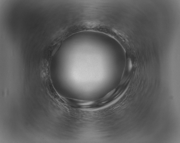 X0000074041349200608211508