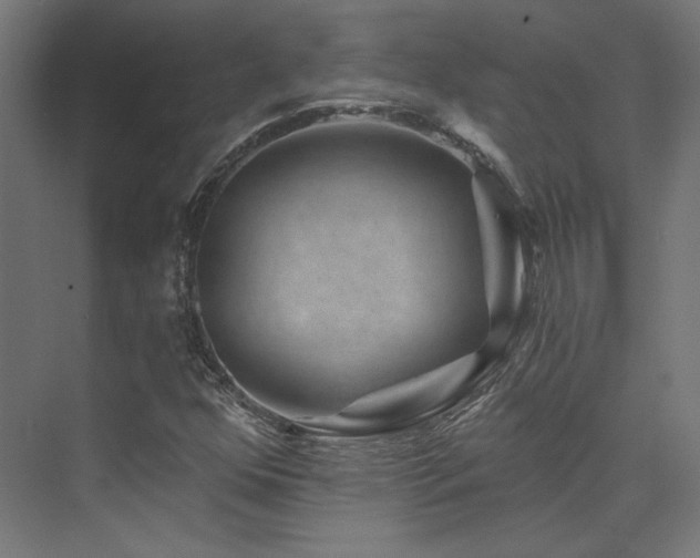 X0000074041352200608211508