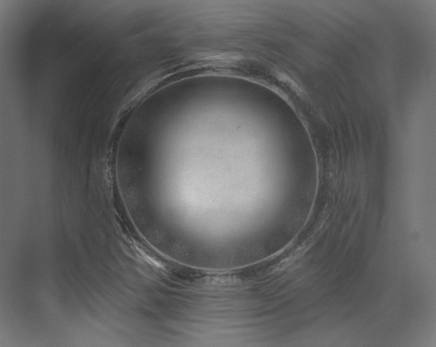 X0000074041354200608211508