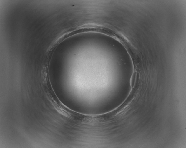 X0000074041355200608211507