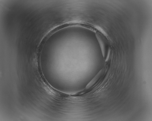 X0000074041356200608211507