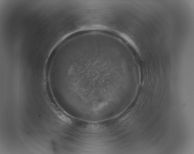 X0000074041364200608211507