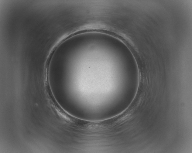 X0000074041366200608211507