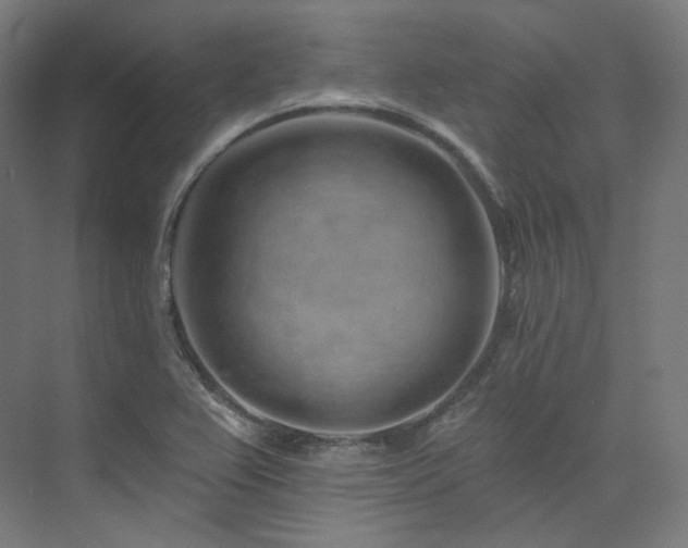 X0000074041367200608211507