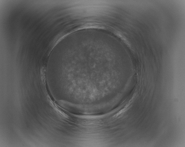 X0000074041369200608211507