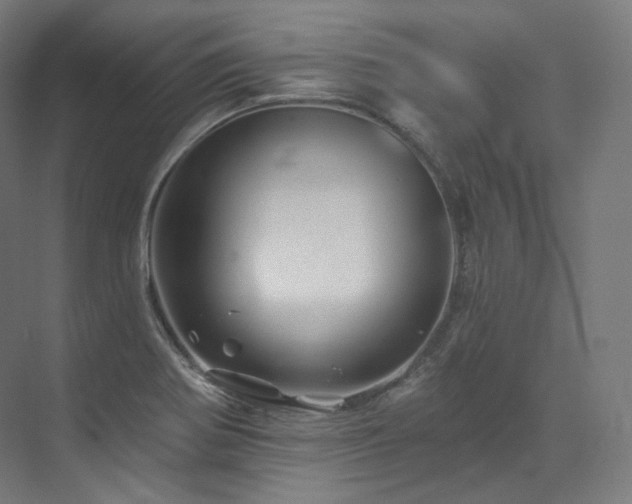 X0000074041370200608211507