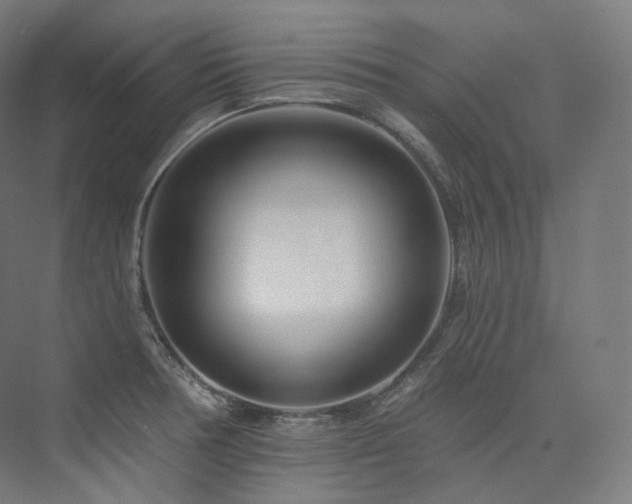 X0000074041378200608211507