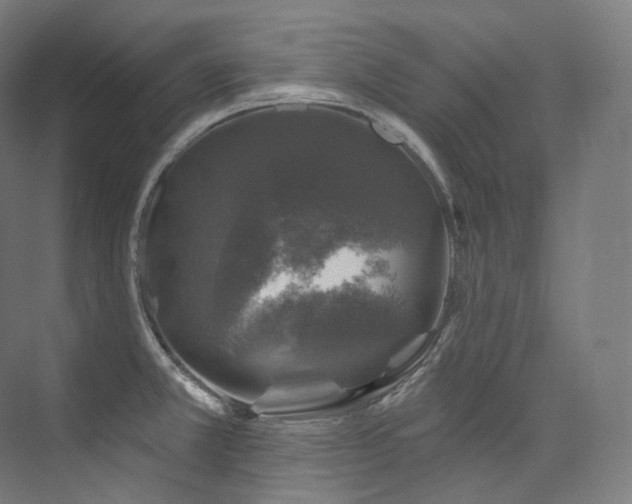 X0000074041381200608211507