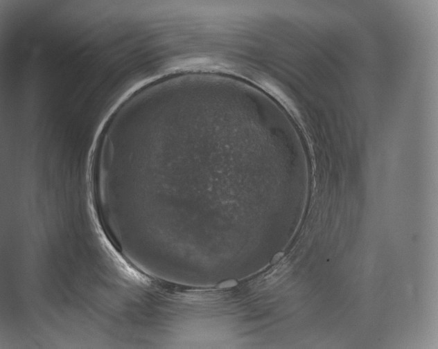 X0000074041392200608211507