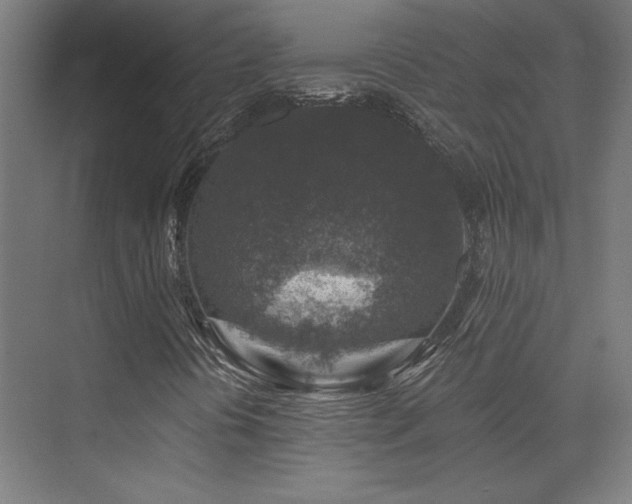 X0000074041394200608211506
