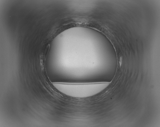 X0000074041396200608211506