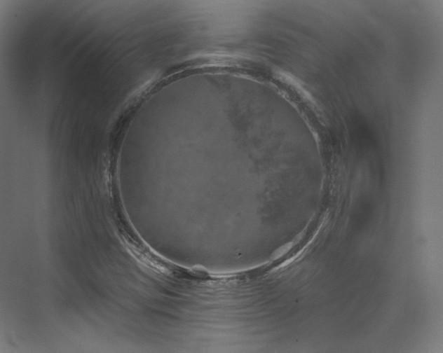 X0000074041403200608211506