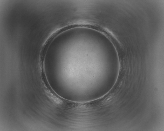 X0000074041408200608211506