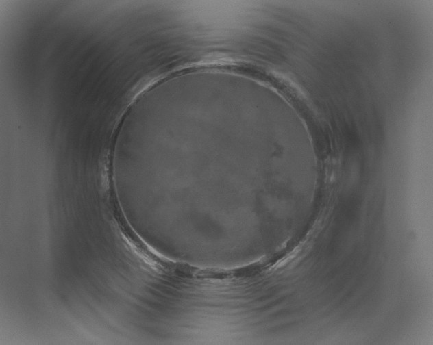 X0000074041409200608211506