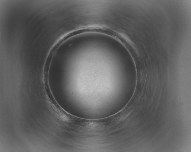 X0000074041412200608211506