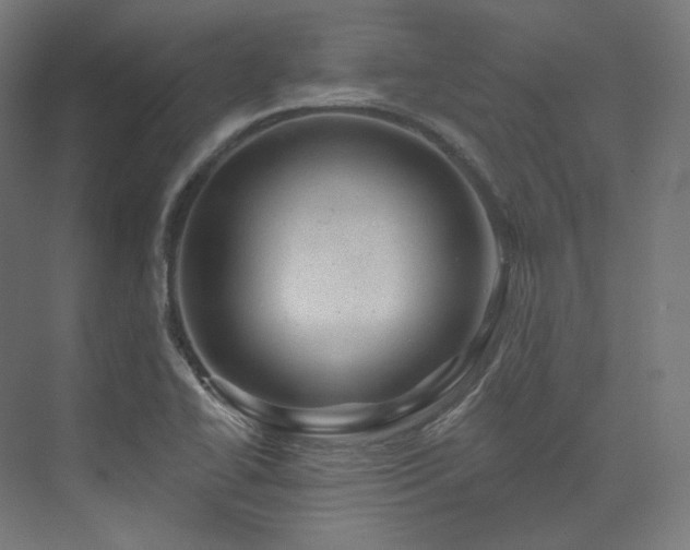 X0000074041414200608211506