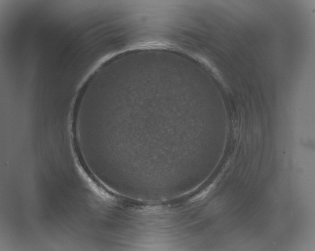 X0000074041422200608211507