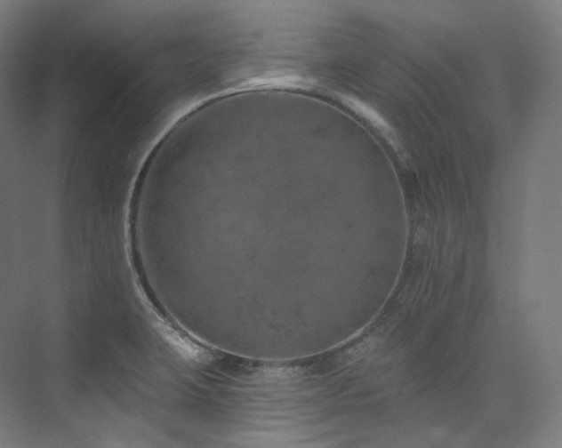 X0000074041423200608211507