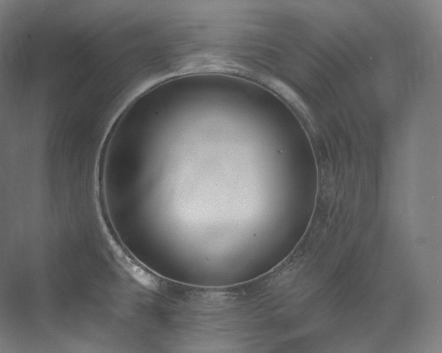 X0000074041431200608211507