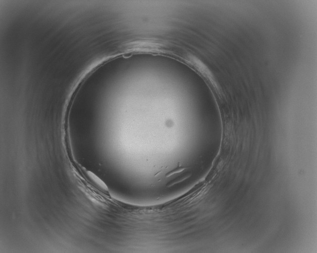 X0000074041435200608211507