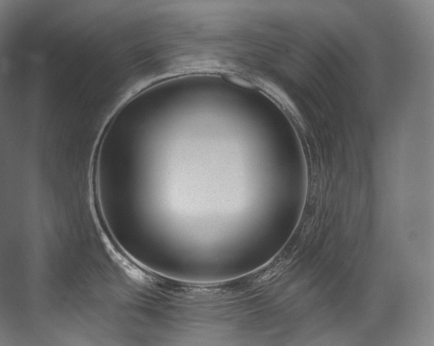 X0000074041439200608211507