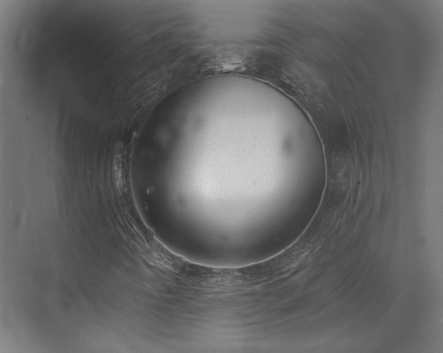 X0000074041442200608211506