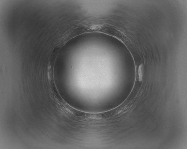 X0000074041443200608211506