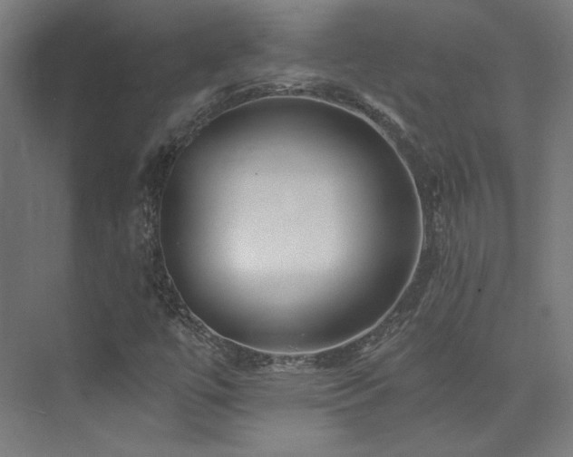 X0000074041447200608211506