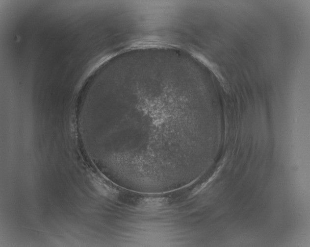 X0000074041453200608211506